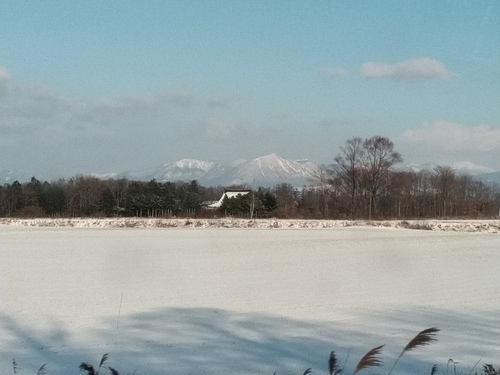 P_20191215_085521.jpg