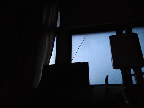 P_20191218_062914.jpg
