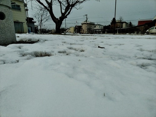 P_20191220_071635_1.jpg