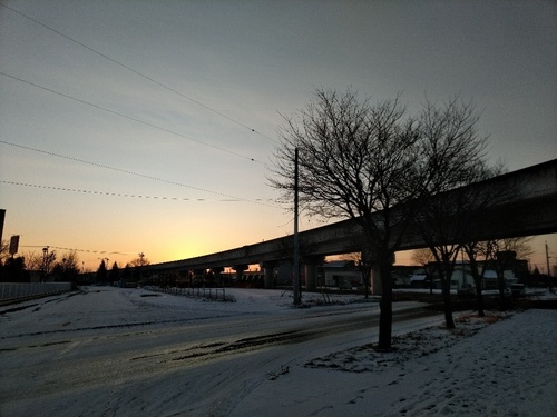 P_20191223_071633_1.jpg