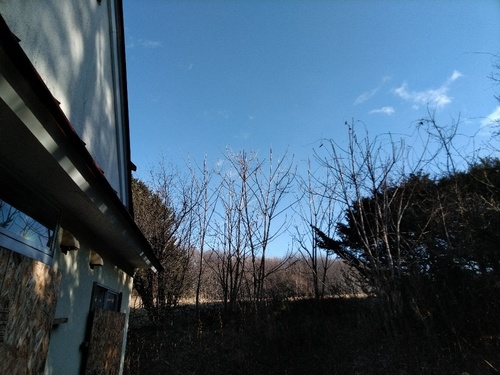 P_20200102_124830_1.jpg