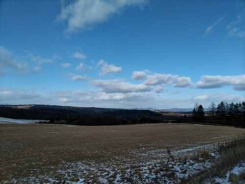 P_20200103_111020_1.jpg
