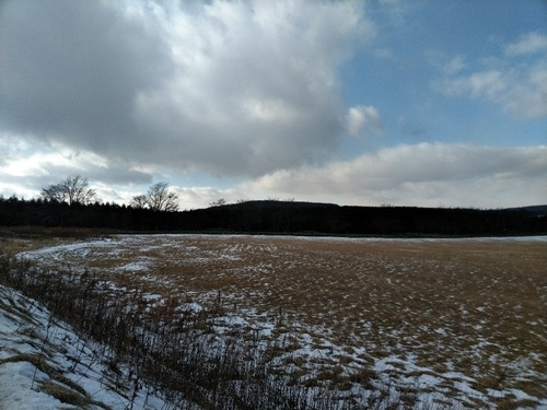 P_20200103_111024_1.jpg