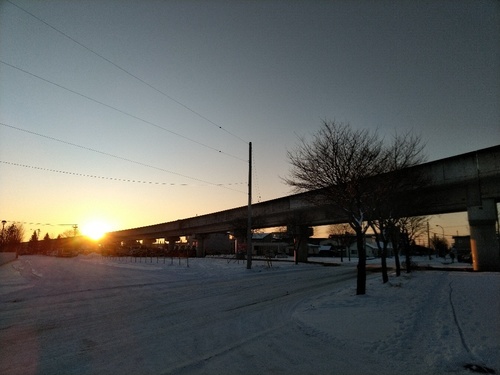 P_20200110_071845_1.jpg