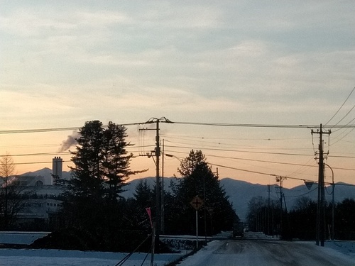 P_20200110_155129_1.jpg