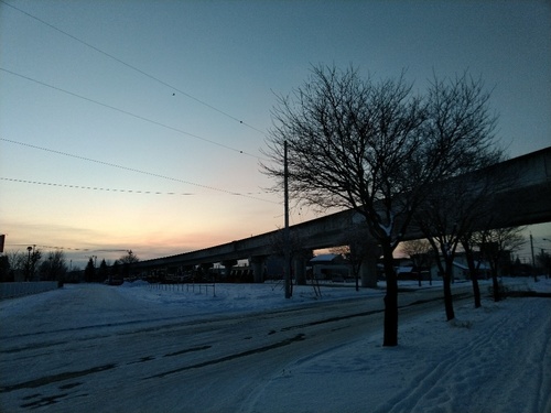 P_20200112_065013_1.jpg
