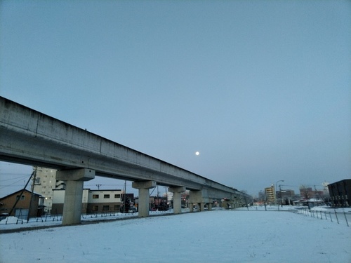 P_20200112_065026_1.jpg