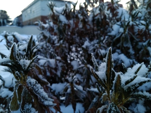 P_20200112_065254_1.jpg