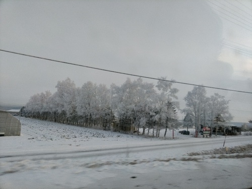 P_20200112_073858_1.jpg
