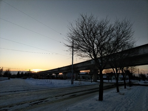 P_20200114_071658_1.jpg