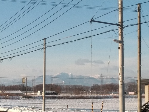 P_20200114_081953_1.jpg