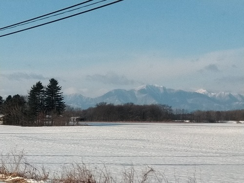 P_20200114_082345_1.jpg