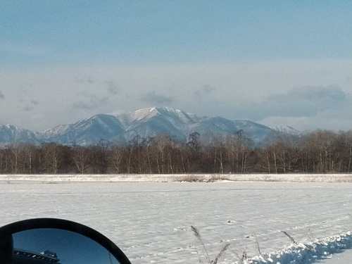 P_20200114_083552_1.jpg