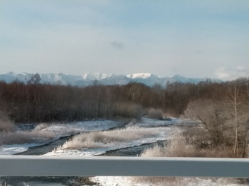 P_20200114_083632_1.jpg