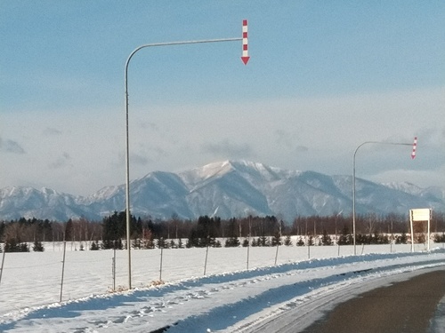 P_20200114_083646_1.jpg