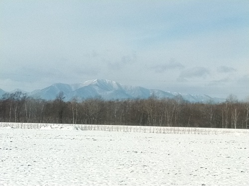 P_20200114_093527_1.jpg