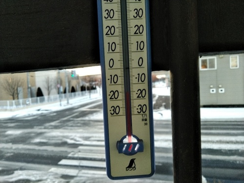 P_20200116_071228_1.jpg