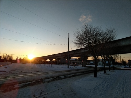 P_20200116_071700_1.jpg