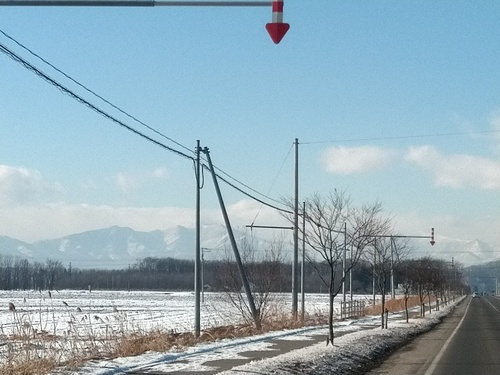 P_20200116_113258_1.jpg