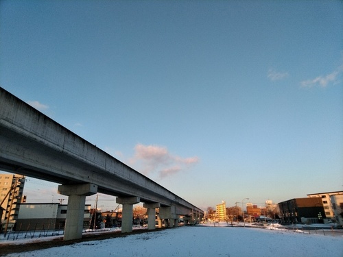 P_20200117_071733_1.jpg