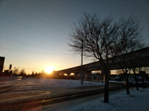 P_20200118_071906_1.jpg