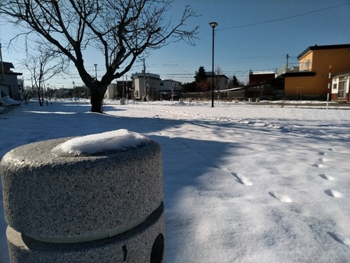 P_20200118_120937_1.jpg