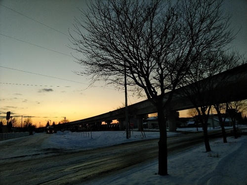 P_20200122_064453_1.jpg