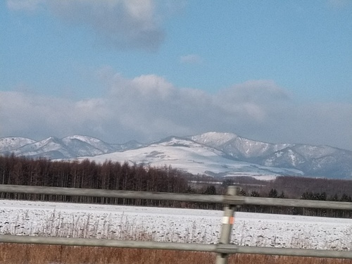 P_20200122_082320_1.jpg