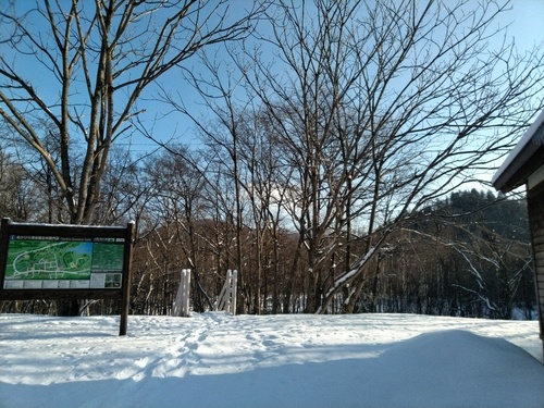 P_20200122_084258_1.jpg