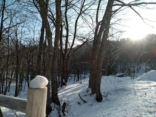 P_20200122_084436_1.jpg