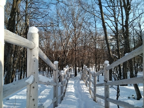 P_20200122_084445_1.jpg
