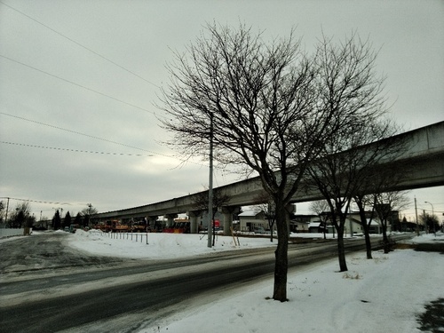 P_20200124_071717_1.jpg