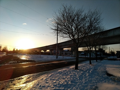 P_20200125_071653_1.jpg
