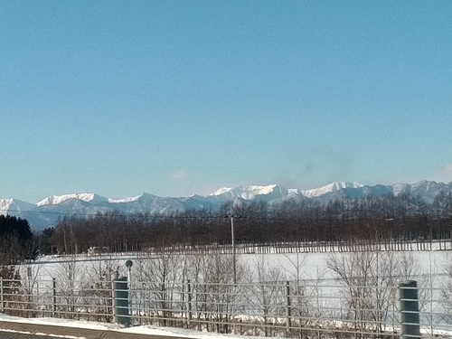 P_20200125_083728_1.jpg