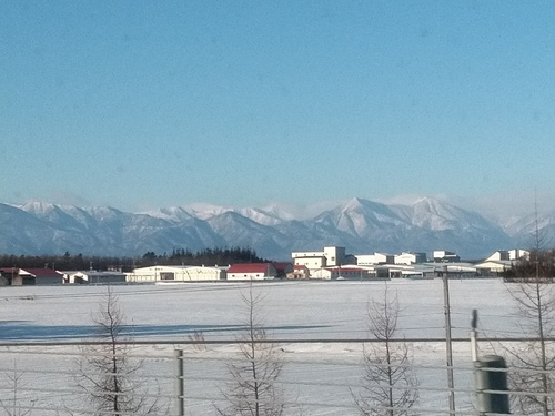 P_20200126_082028_1.jpg