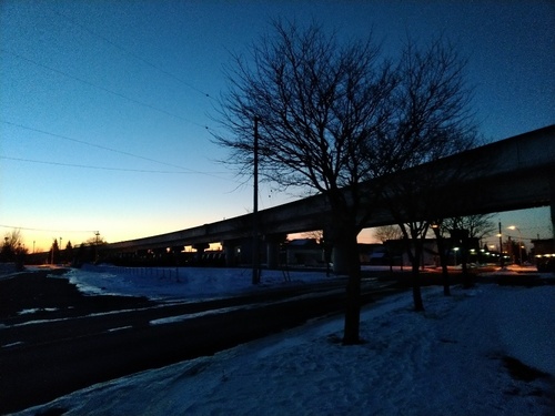 P_20200127_061710_1.jpg