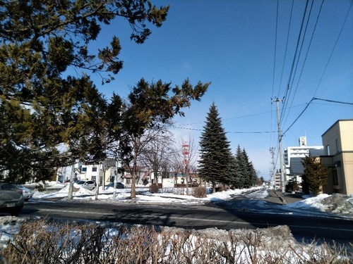 P_20200215_101942_1.jpg