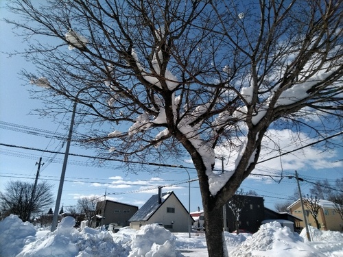 P_20200306_100723_1.jpg