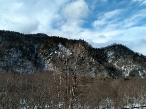 P_20200311_084107_1.jpg