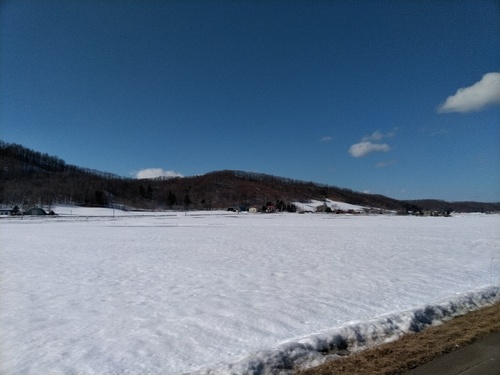 P_20200312_134336_1.jpg
