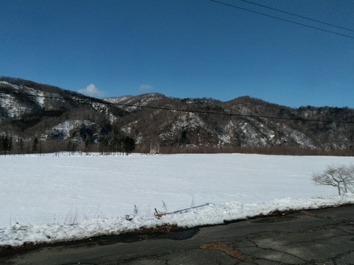 P_20200318_081830_1.jpg