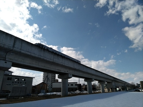 P_20200320_131707_1.jpg