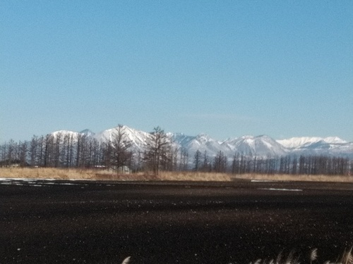 P_20200322_082543_1.jpg