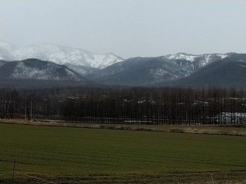 P_20200402_100308_1.jpg