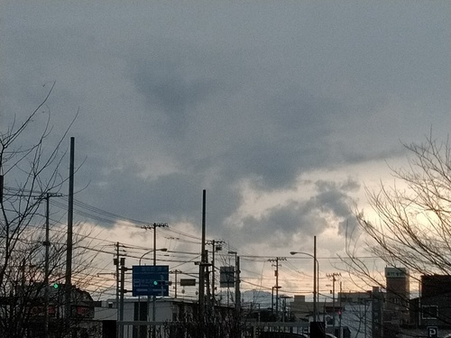 P_20200405_162049_1.jpg