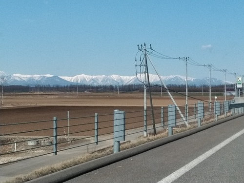 P_20200430_102925_1.jpg
