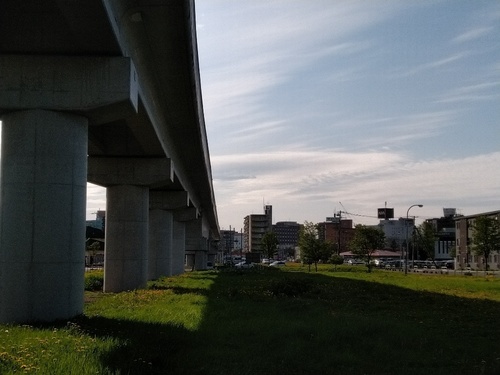 P_20200518_161208_1.jpg