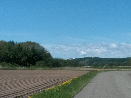 P_20200526_083234_1.jpg