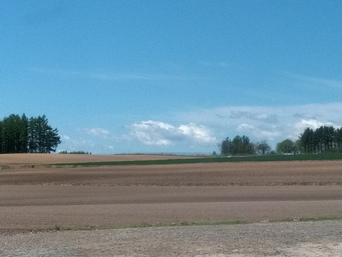 P_20200526_083905_1.jpg