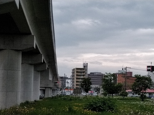 P_20200527_172908.jpg